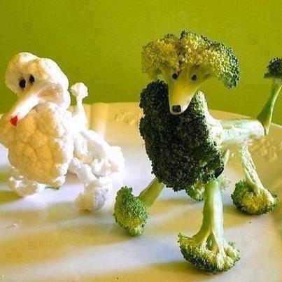 Food Art - Broccoli Dog