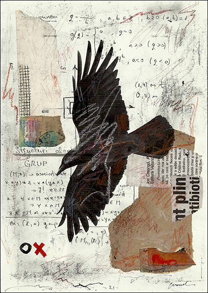Faven flight collage mixed media