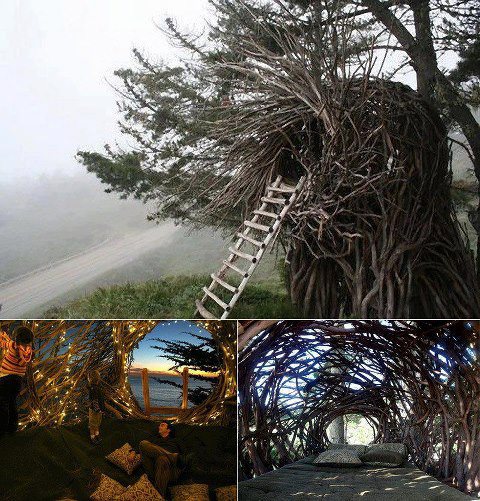 Tree House Art in Nature